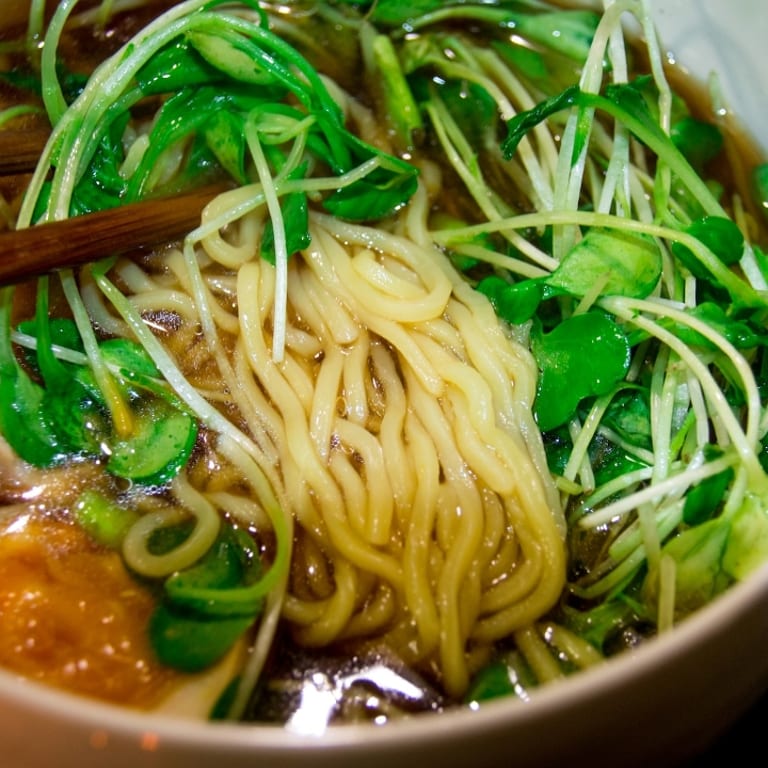 Delicious Shoyu Ramen and More